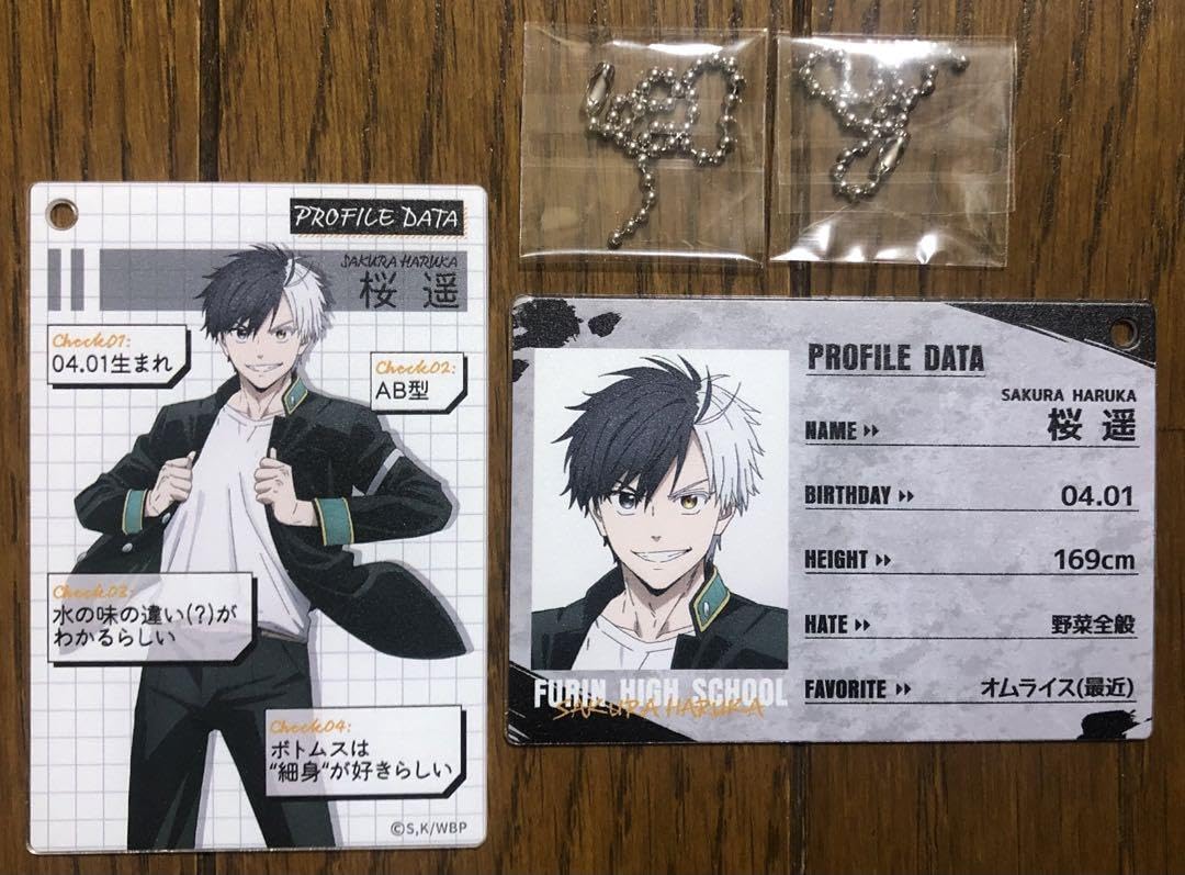 遥☆ページ Amazon.co.jp: ウィンドブレイカー プロフィールカード 桜遥 : おもちゃ